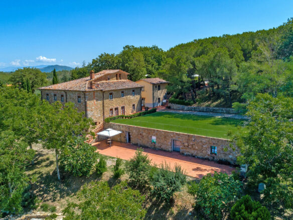 C1460 Vineyard Property Located Near Arezzo In Tuscany