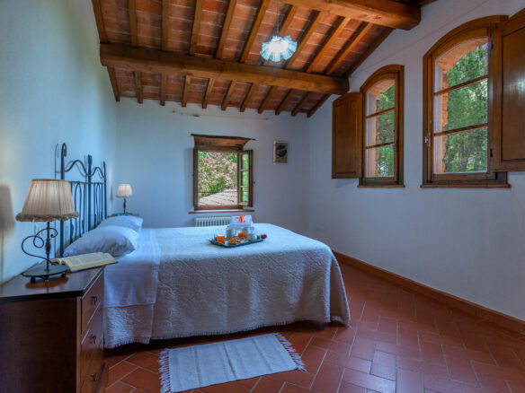 C1460 Vineyard Property Located Near Arezzo In Tuscany