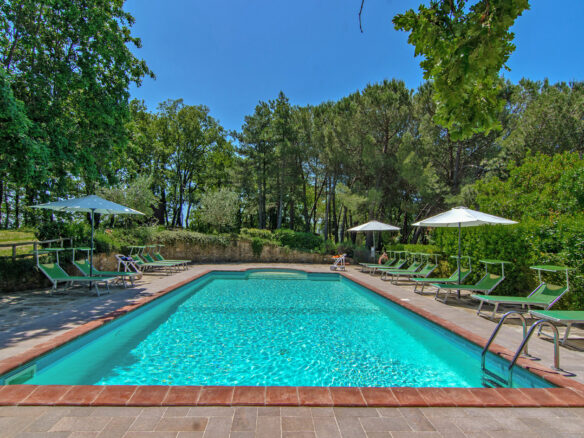 C1460 Vineyard Property Located Near Arezzo In Tuscany