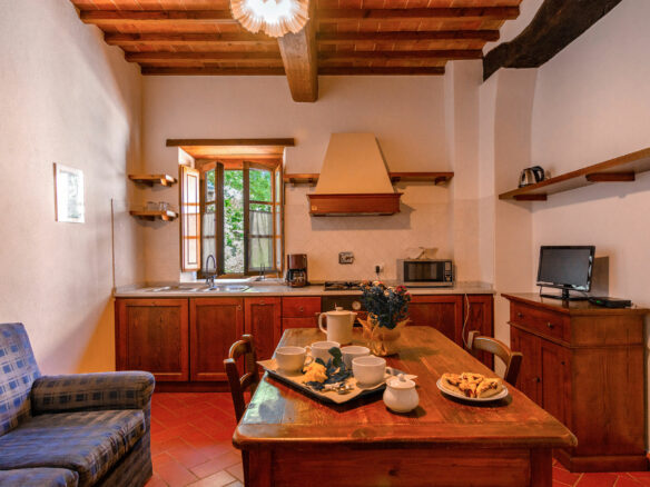 C1460 Vineyard Property Located Near Arezzo In Tuscany
