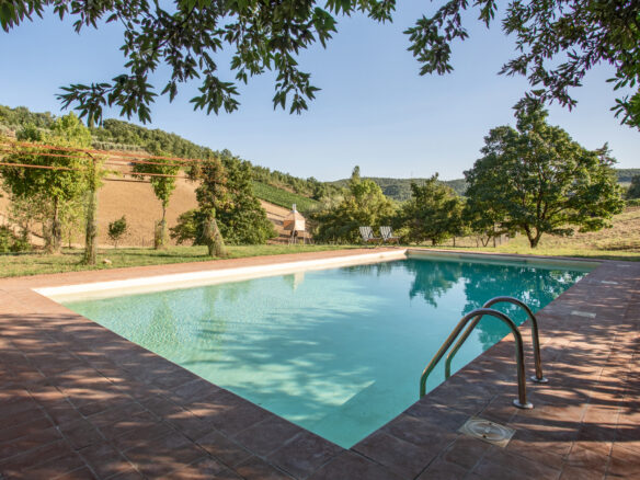 C1500 Farmhouse Featuring Pool And Olive Grove In Chianti Classico