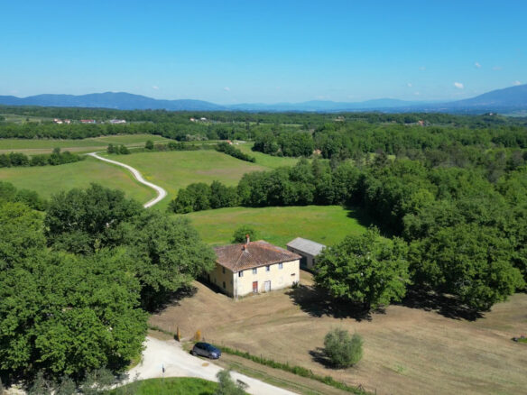 P164 Vineyard Property In Tuscany Close To Florence