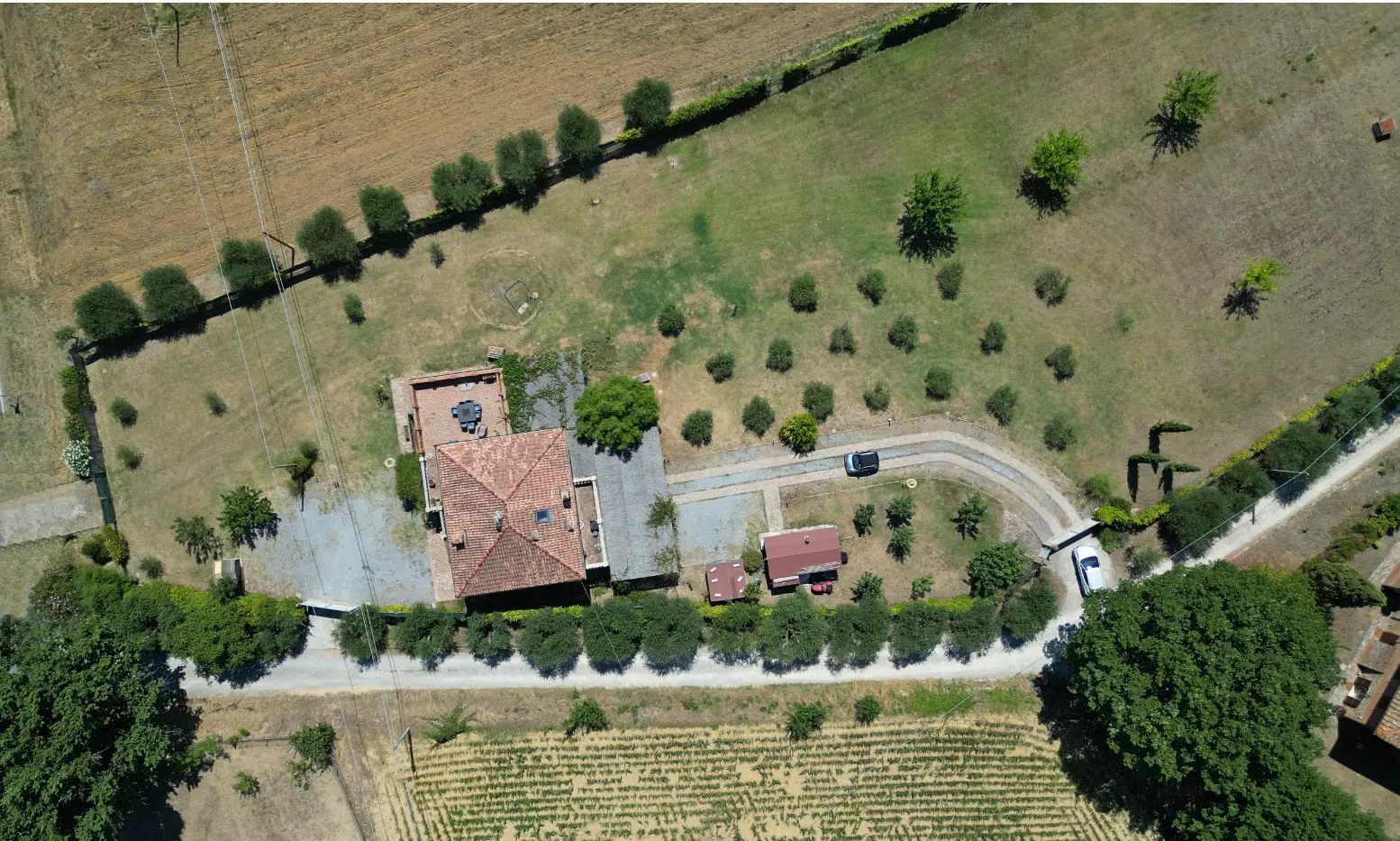 Screenshot-2024-07-29-10024