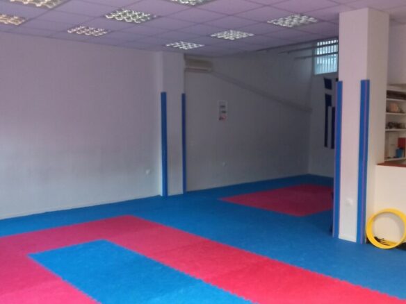 Commercial Property In Voulgari – Ntepo – Martiou, Greece (160 M²)