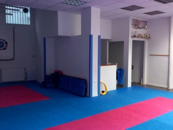 Commercial Property In Voulgari – Ntepo – Martiou, Greece (160 M²)