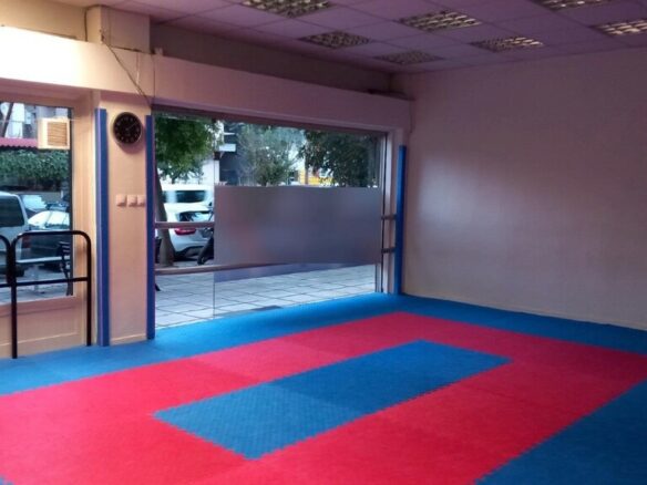 Commercial Property In Voulgari – Ntepo – Martiou, Greece (160 M²)
