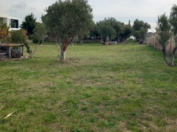 Land In Nea Propontida, Greece