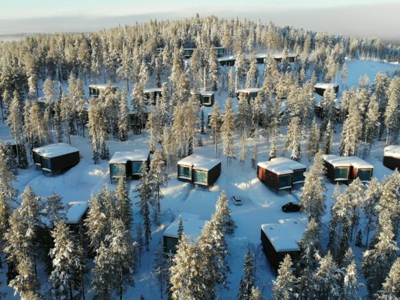 snow covered trees and houses during daytime
