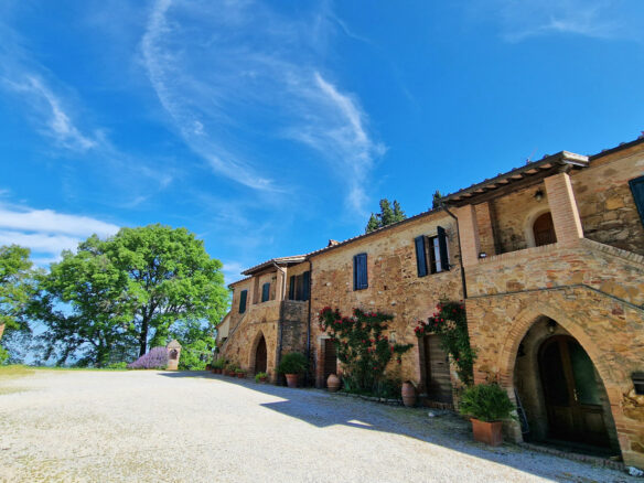 C1390 40 Hectares Agricultural Land In Tuscany Available