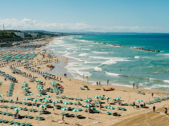 people on beach during daytime