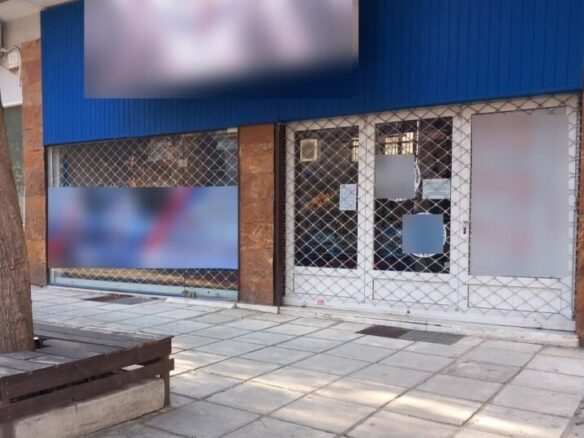 Commercial Property In Voulgari – Ntepo – Martiou, Greece (160 M²)
