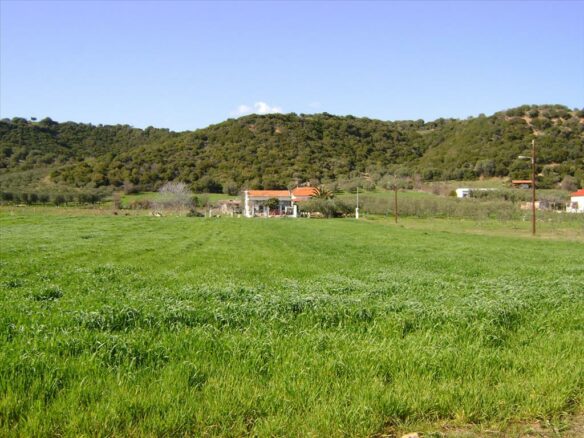 Land In Aristotle, Greece