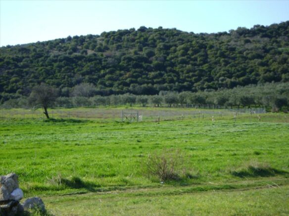 Land In Aristotle, Greece
