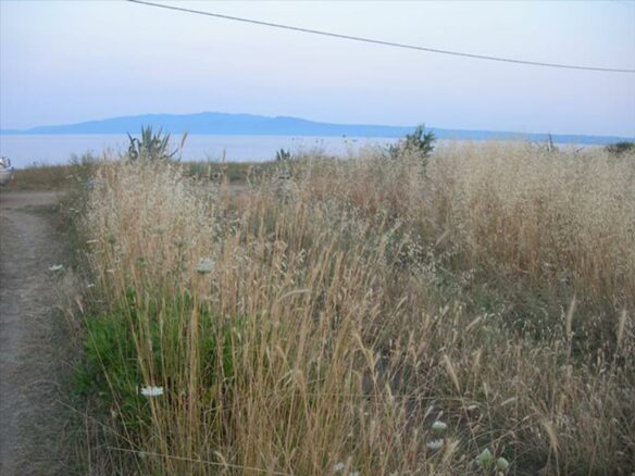 Land In Aristotle, Greece
