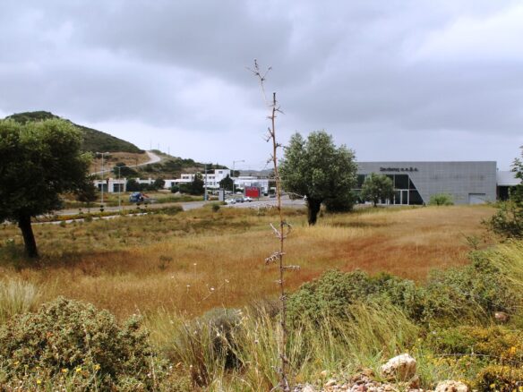 Land Parcel Of 7400 M² Located In Rhodes