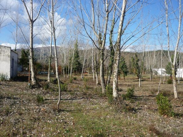 Commercial Property In Aristotle, Greece (262 M²)