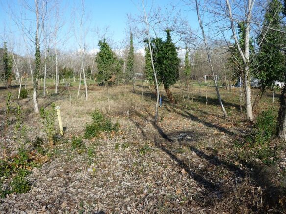 Commercial Property In Aristotle, Greece (262 M²)