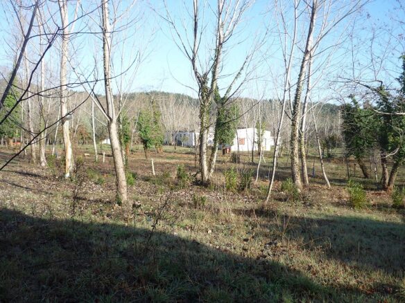 Commercial Property In Aristotle, Greece (262 M²)