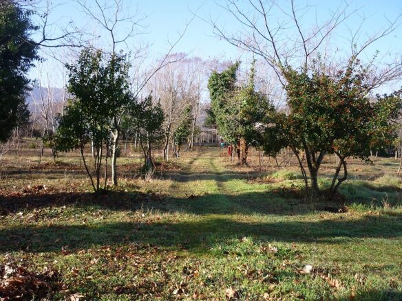 Commercial Property In Aristotle, Greece (262 M²)