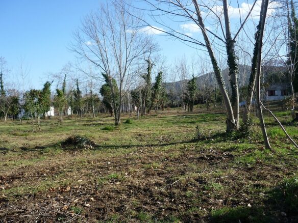 Commercial Property In Aristotle, Greece (262 M²)