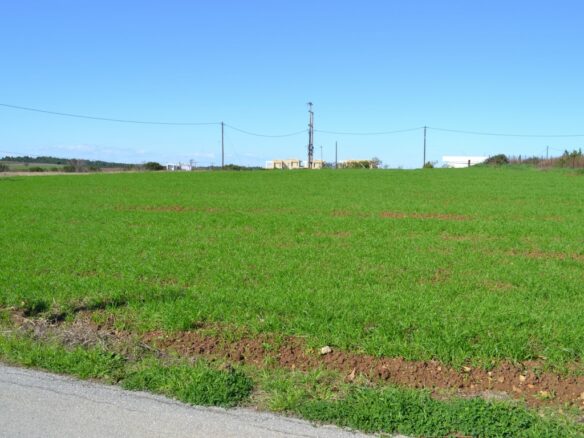 Land Parcel 6700 M² Available In Kassandra, Chalkidiki