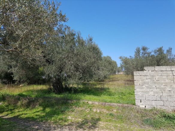 Land In Sithonia, Greece