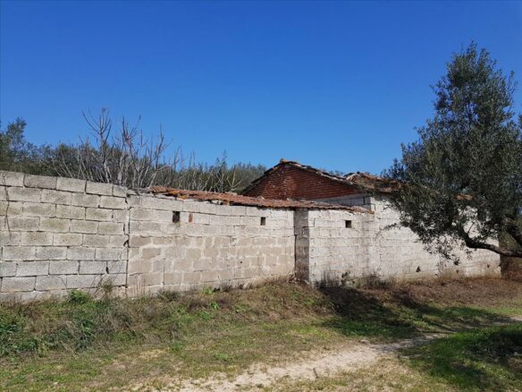 Land In Sithonia, Greece