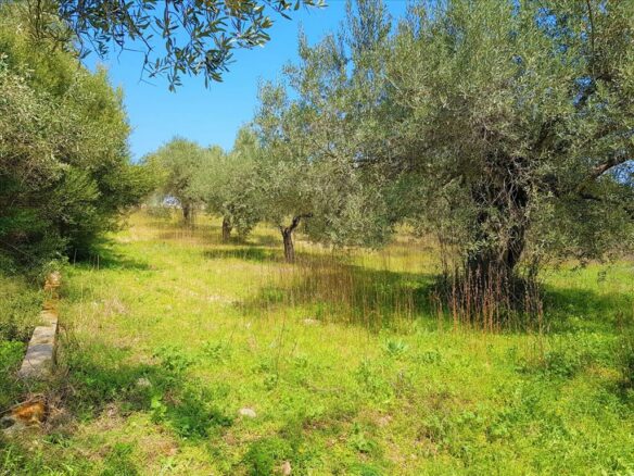 Land In Sithonia, Greece