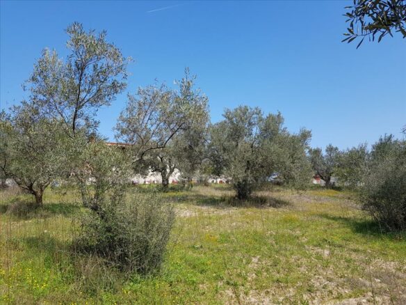 Land In Sithonia, Greece