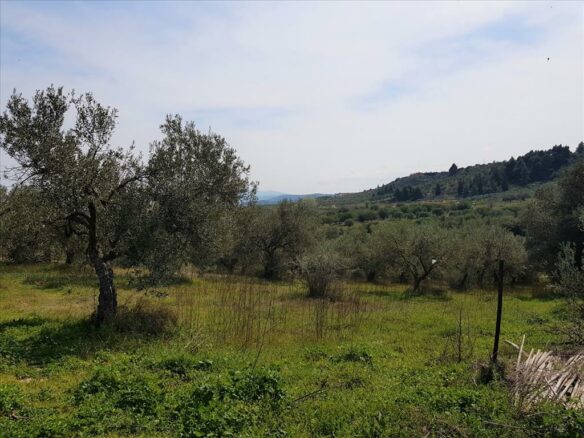 Land In Sithonia, Greece