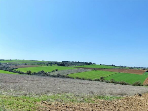 Land In Mikra, Greece (22.000 M²)