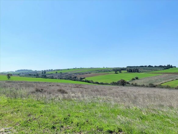 Land In Mikra, Greece (22.000 M²)
