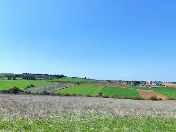 Land In Mikra, Greece (22.000 M²)