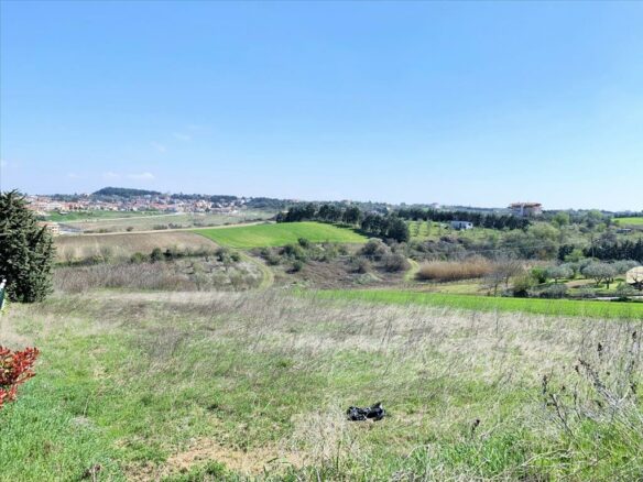 Land In Mikra, Greece (3.800 M²)