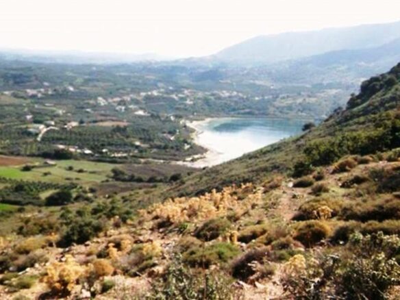 Land In Georgioupoli, Greece