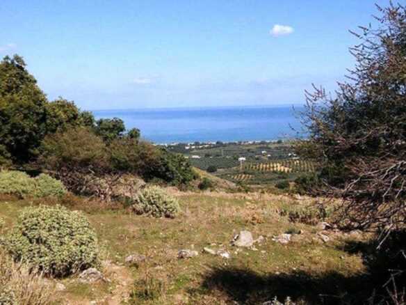 Land In Georgioupoli, Greece