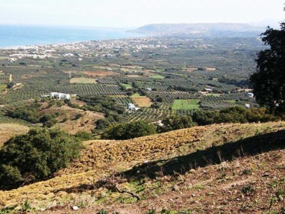 Land In Georgioupoli, Greece
