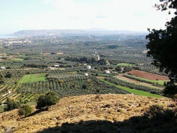 Land In Georgioupoli, Greece