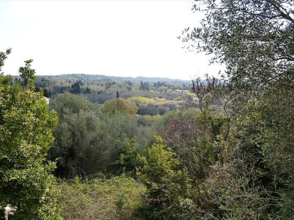 Land Parcel 4370 M² Available In Corfu Region