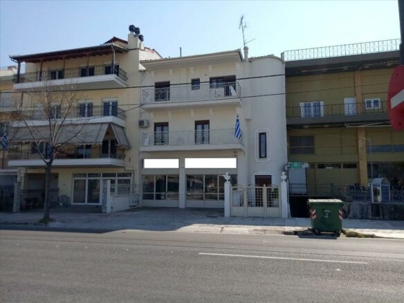 Business In Larisa, Greece (173 M²)