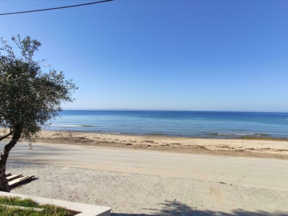 Business In Sithonia, Greece (70 M²)
