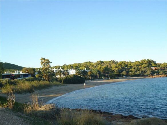 7000 M² Plot Available In Attica With Potential Uses