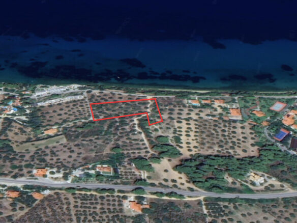 Land In Sithonia, Greece