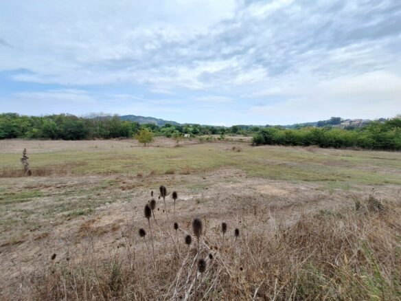 Land In Corfu, Greece