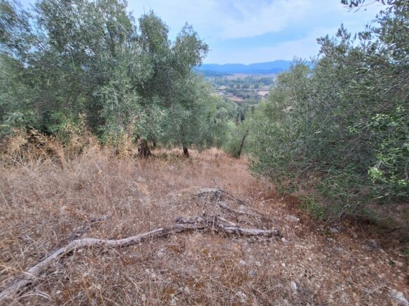 Land In Corfu, Greece