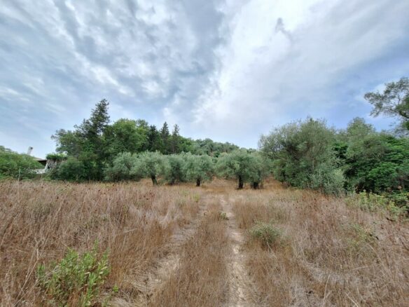 Land In Corfu, Greece
