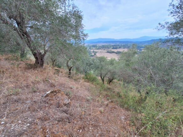 Land In Corfu, Greece