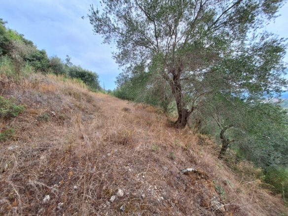 Land In Corfu, Greece