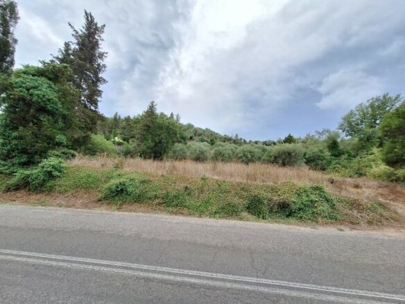Land In Corfu, Greece