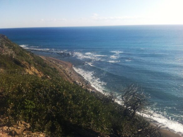 15000 M² Land Parcel Available In Rhodes